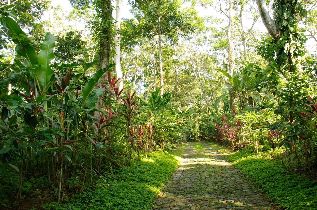 Takalik Maya Lodge El Asintal Extérieur photo