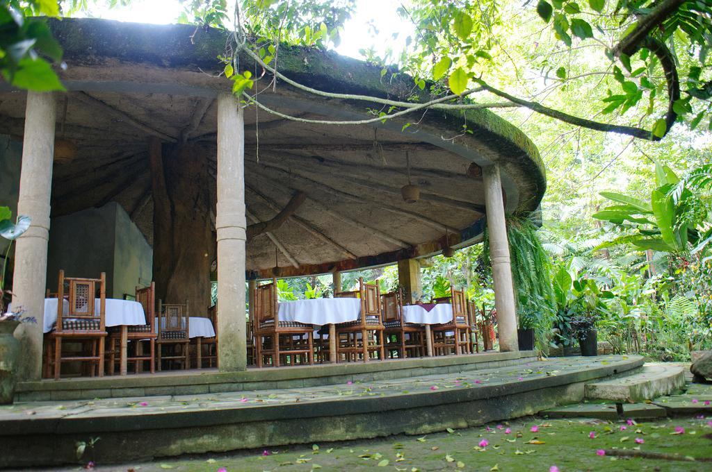 Takalik Maya Lodge El Asintal Extérieur photo